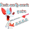 PINKY & CEREBRO 11