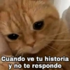 Gatitos SAD 😞 1 17