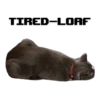 Michi the cat 24