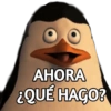 AHORA ¿QUÉ HAGO?
