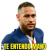 Figurinhas Fãs do Ney 11