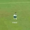 mesi 27