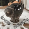 🐱🐾🐈 Cats l 🐈🐾🐱 16