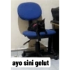Guji Gosong Kitty 24