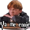 Harry Potter 29