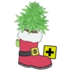 GROWING CHRISTMAS! 16