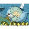 Calamardo 6