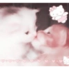 Gatos lindos💗 12