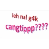 leh nal g4k cangtippp????
