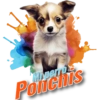 Miperro Ponchis