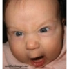 Babies Expressions 2 16