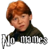 Harry Potter 17