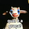 qual é a graça?