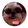 Olá