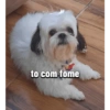 to com fome