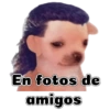 En fotos de amigos