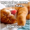 Bom dia engraçado 5
