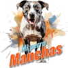Mi perr Manchas
