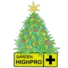 GROWING CHRISTMAS! 20