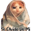 Animales Friolentos 🥶❄ 22