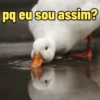 Memes e mais memes 🤷🏾‍♀️ 15