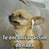 Memes: músicas do momento 💃🏻🕺🏻 14