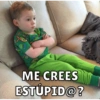 Gavin 24