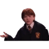 Harry Potter a stikers 15
