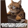 Michis pt. 2 28