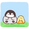 Pollito y pingüino 20