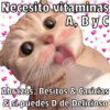 🐱🐾Mishis🐈🐈‍⬛Para Tu Crush💘😻 12