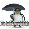 Están lloviendo pendejos jajajks