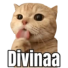 Divinaa