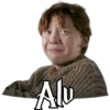 Harry Potter 19
