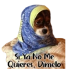 Animales Friolentos 🥶❄ 23