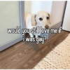 Homophobic dog 11