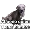 Perritos 9
