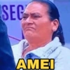 SEC AMEI