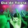 ✨Gatitos con frases😺✨5 15
