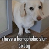 Homophobic dog 16