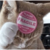 Cats random Vol. 2 13