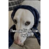 Homophobic dog 15