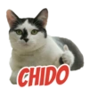 @ballolet88 CHIDO