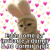 🐱🐾Mishis🐈🐈‍⬛Para Tu Crush💘😻 11