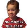 Gavin 22