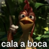 JOÃO FRANGO MEMES 18