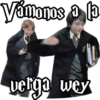 Harry Potter 30