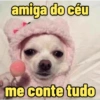 Bora memear? 😌 5