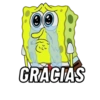 GRACIAS