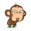 Monyet Lucu Cok Indonesia 13